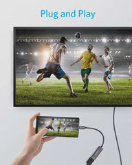 Anker 310 USB-C Adapter (4K HDMI)